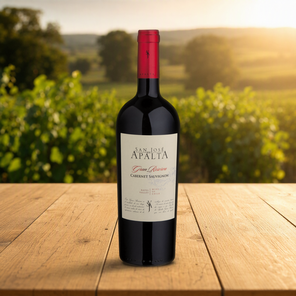 VINHO CHILENO SAN JOSÉ DE APALTA GRAN RESERVA CABERNET SAUVIGNON